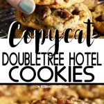 Copycat DoubleTree Hotel Cookies