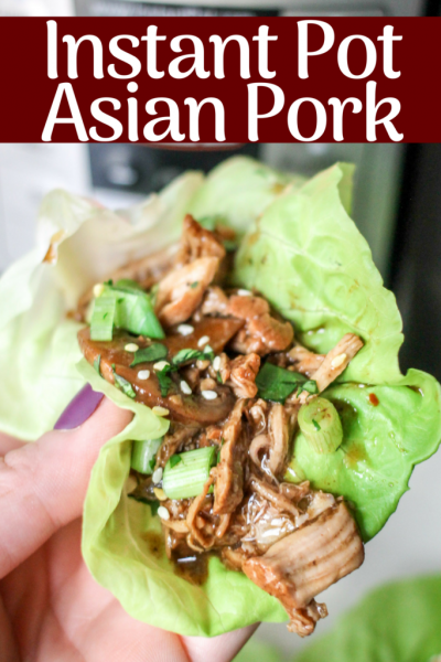 Instant Pot Asian Pork