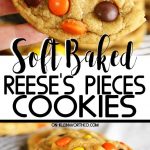 Soft Baked Reese's Pieces Cookies