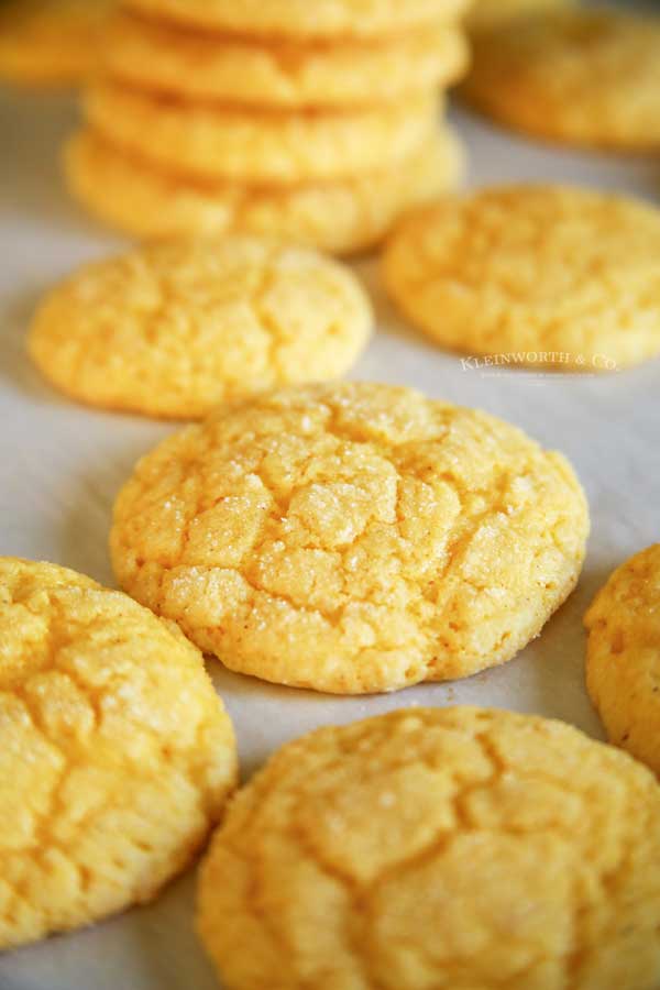 Best Recipe Eggnog Cookies