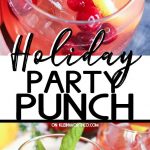 Holiday Party Punch