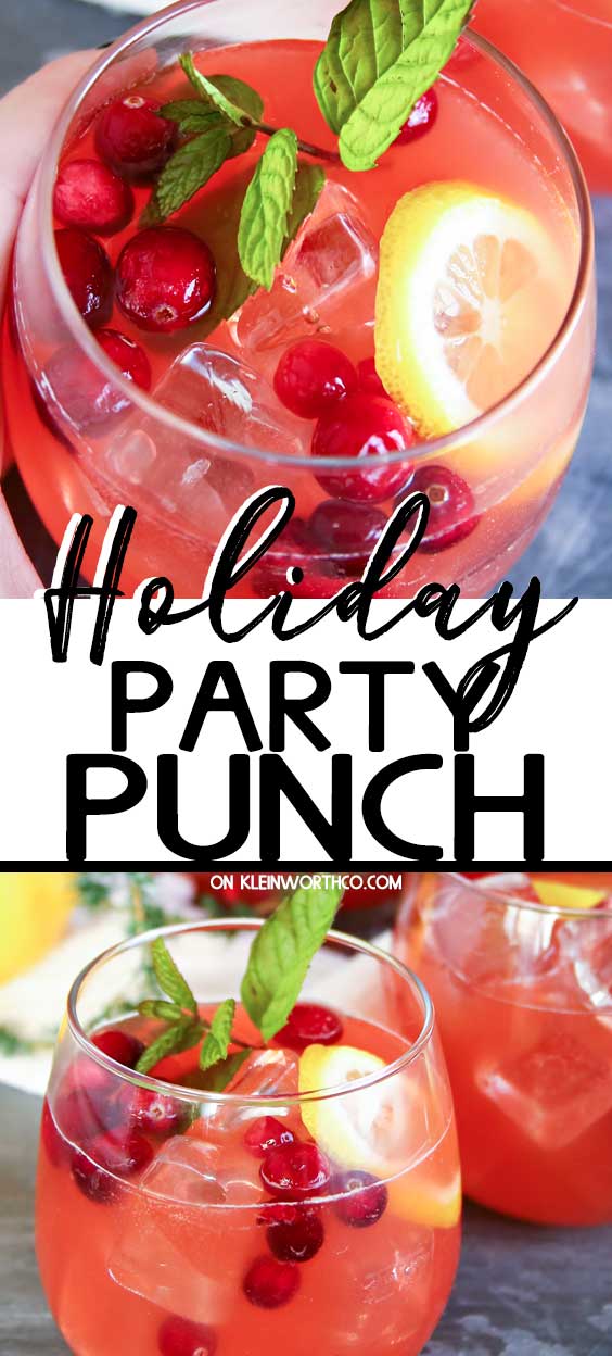 Holiday Party Punch