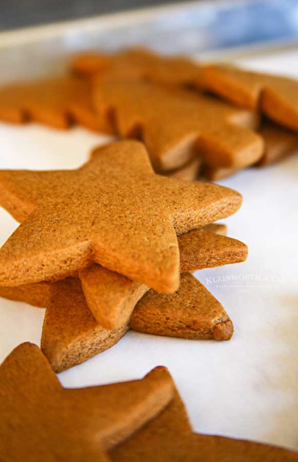 Unfrosted Gingerbread Stars