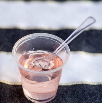 Pretty Pink Champagne Jello Shots