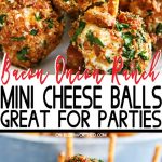 Mini Bacon Onion Ranch Cheese Balls