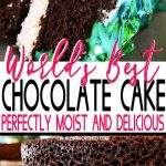 World's Best Chocolate Cake