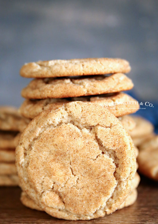 Easy No Chill Recipe Snickerdoodles