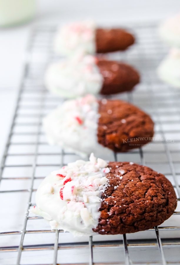 recipe for Double Chocolate Cookies