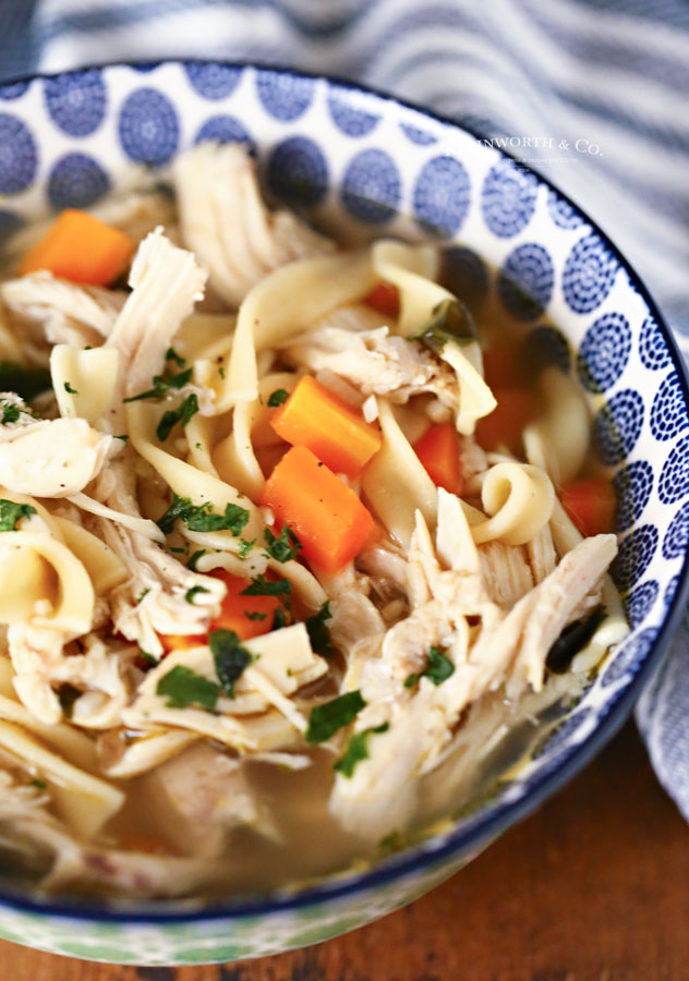 30 minute dinner - chicken soup - instant pot