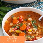 Chicken Vegetable Soup