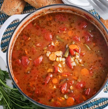 slow cooker chicken vegetable soup