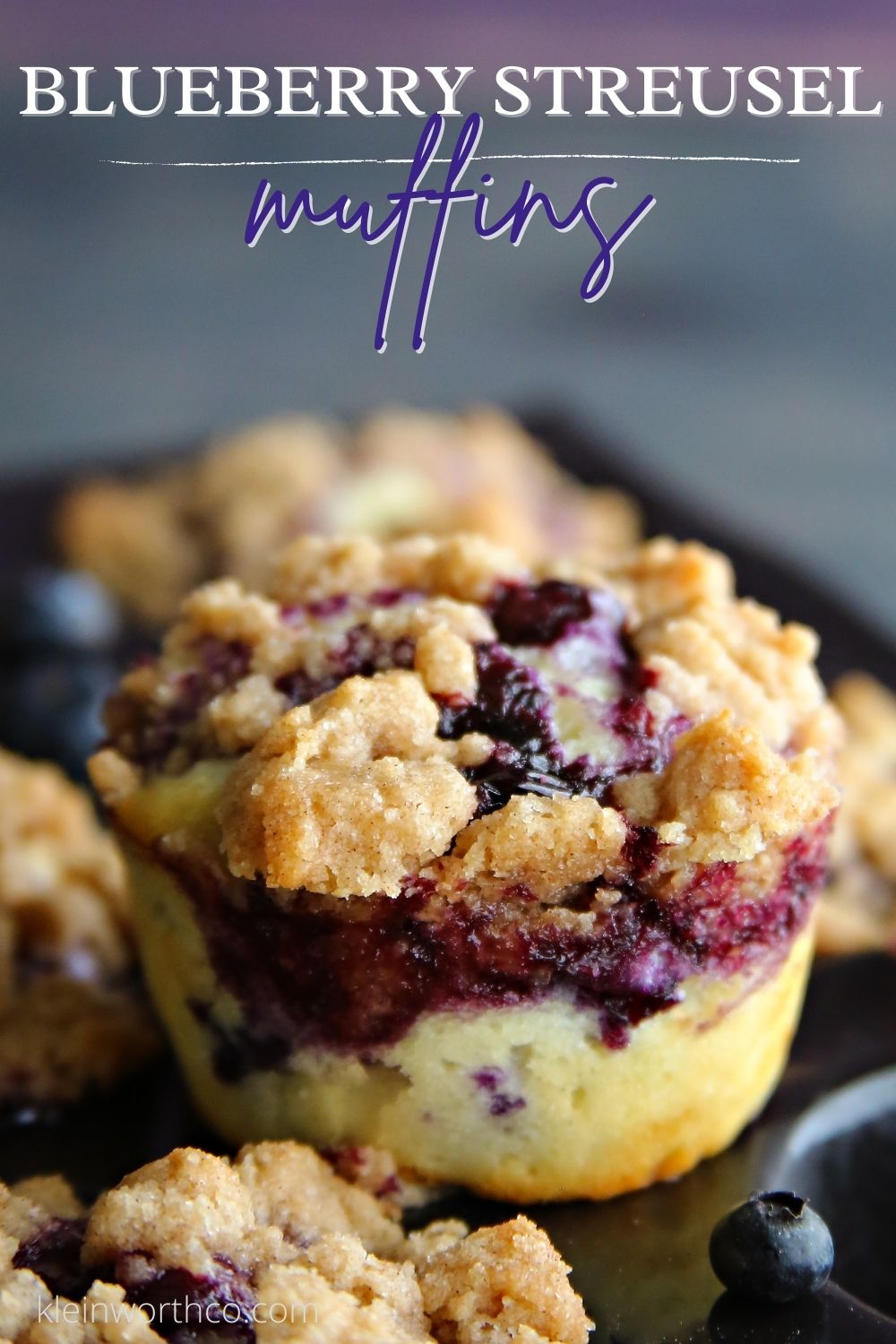 Best Blueberry Streusel Muffins - Taste of the Frontier