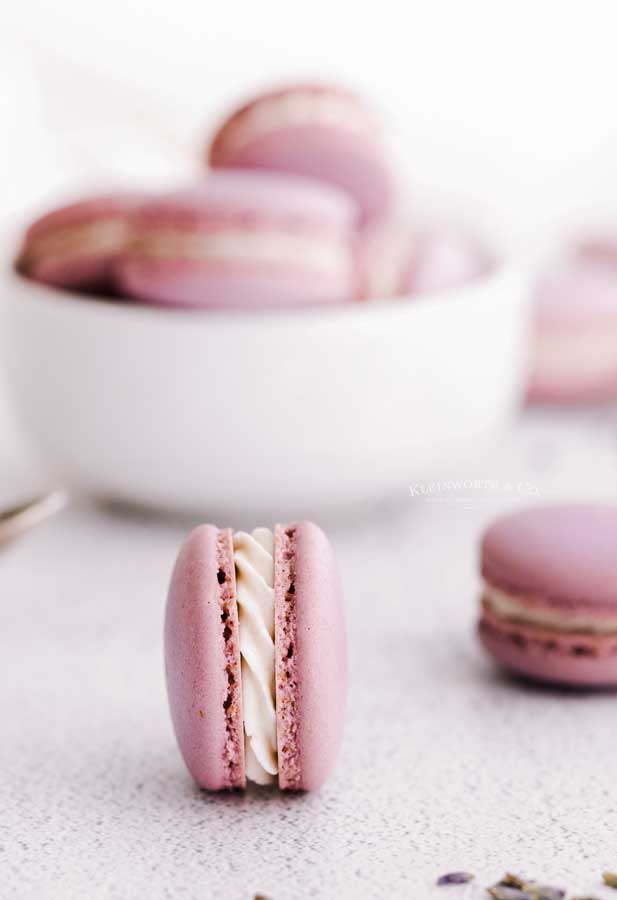 Lavender Macarons Dried Lavender