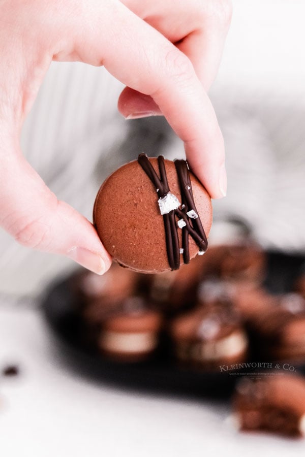 decorated chocolate cookies