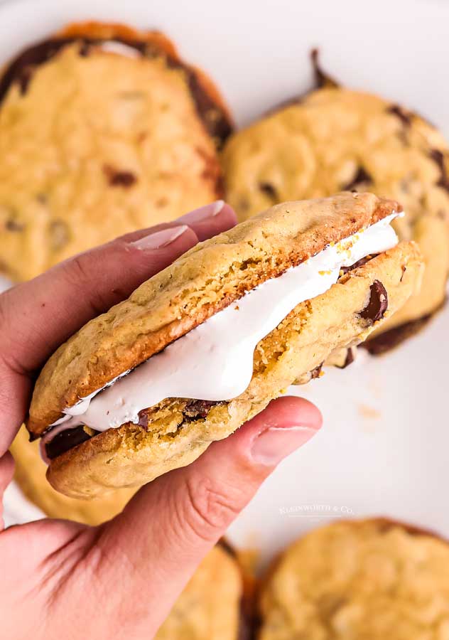 marshmallow in cookie smores