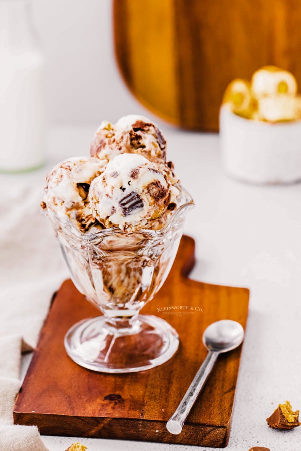 fudge ripple ice cream