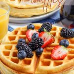 Homemade Waffle Recipe