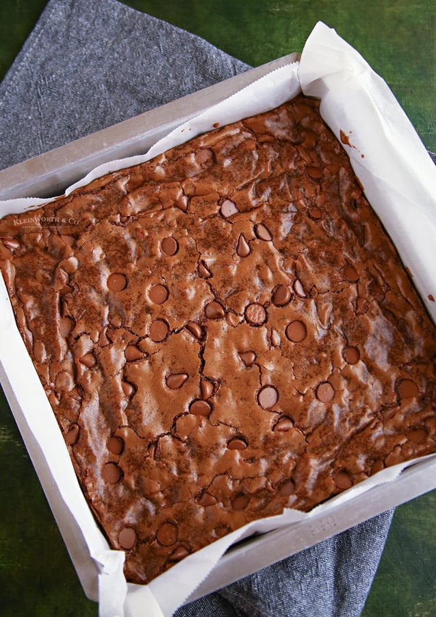 chocolate chip brownies