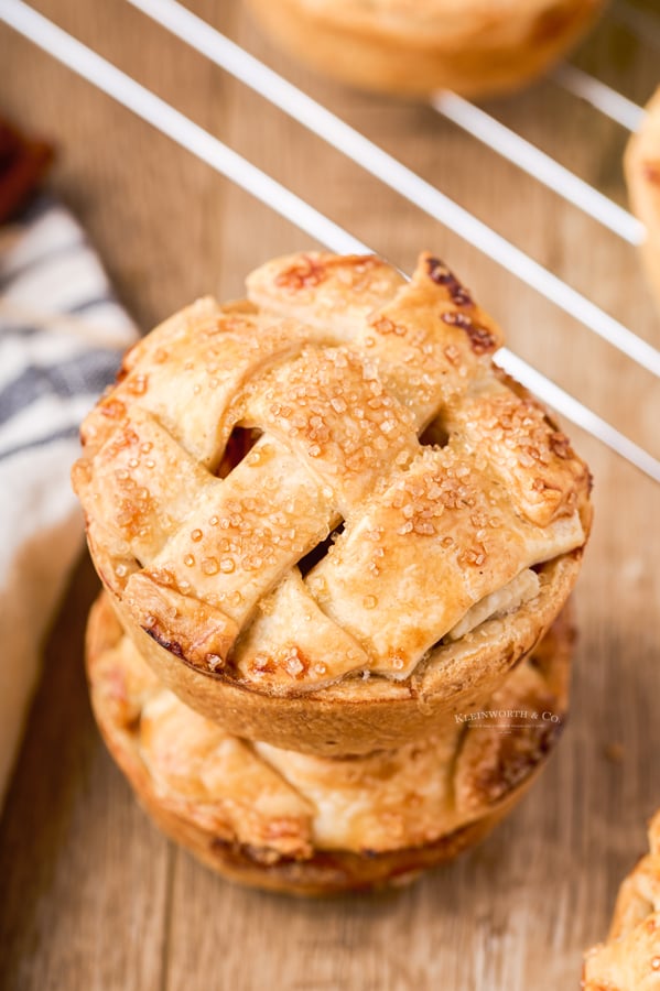 muffin tin pies