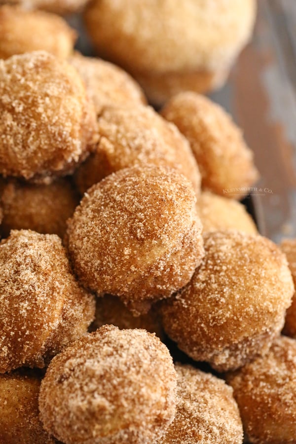 cinnamon sugar Donut Holes