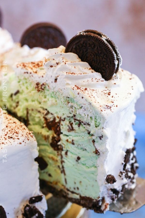 Mint Chocolate Chip Ice Cream Cake