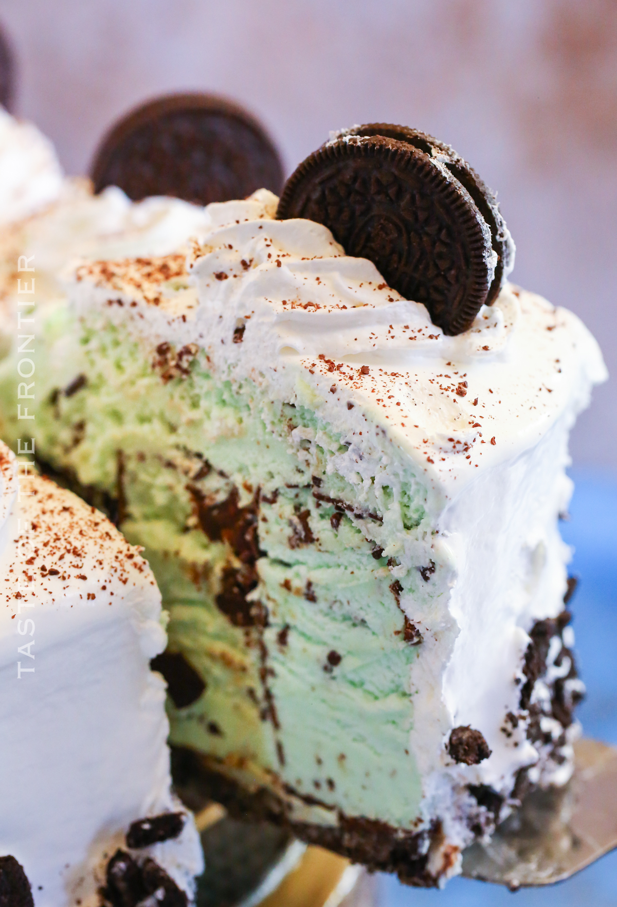 Mint Chocolate Chip Ice Cream Cake