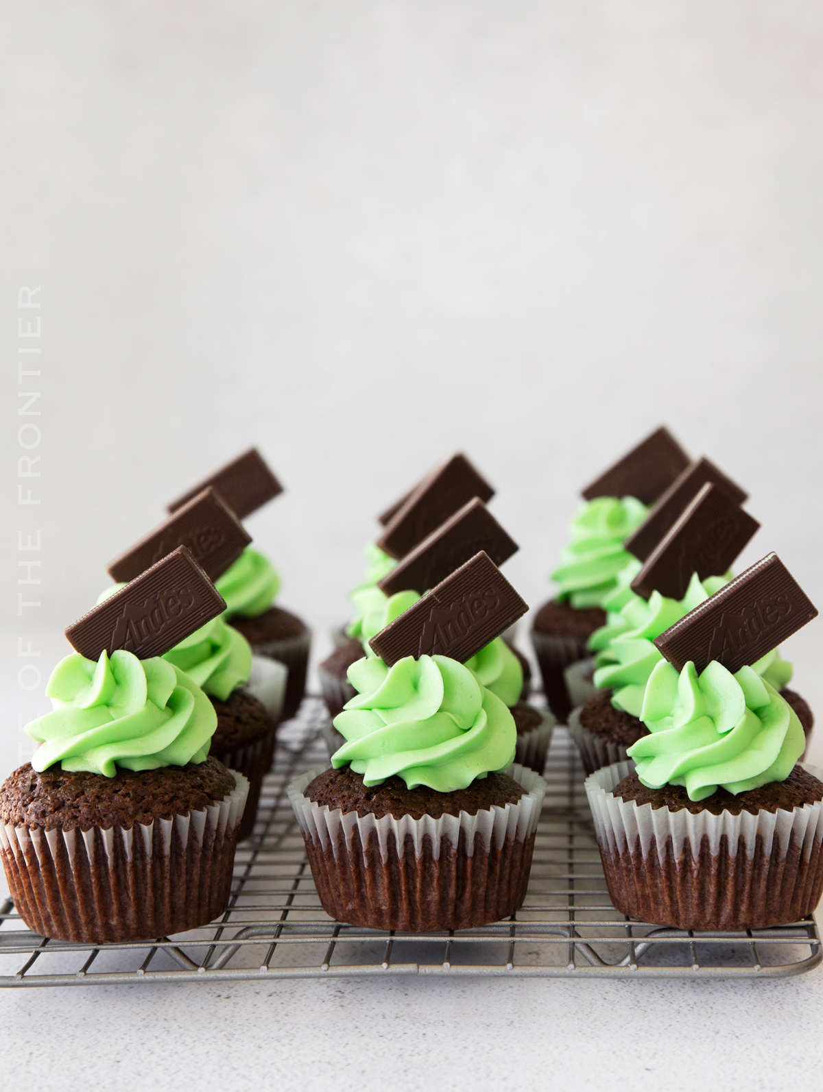 chocolate mint cupcakes