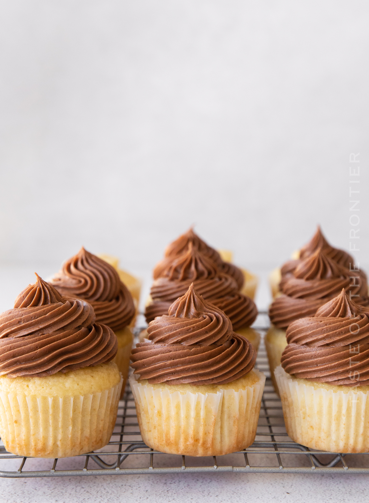 vanilla cupcakes with chocolate frosting