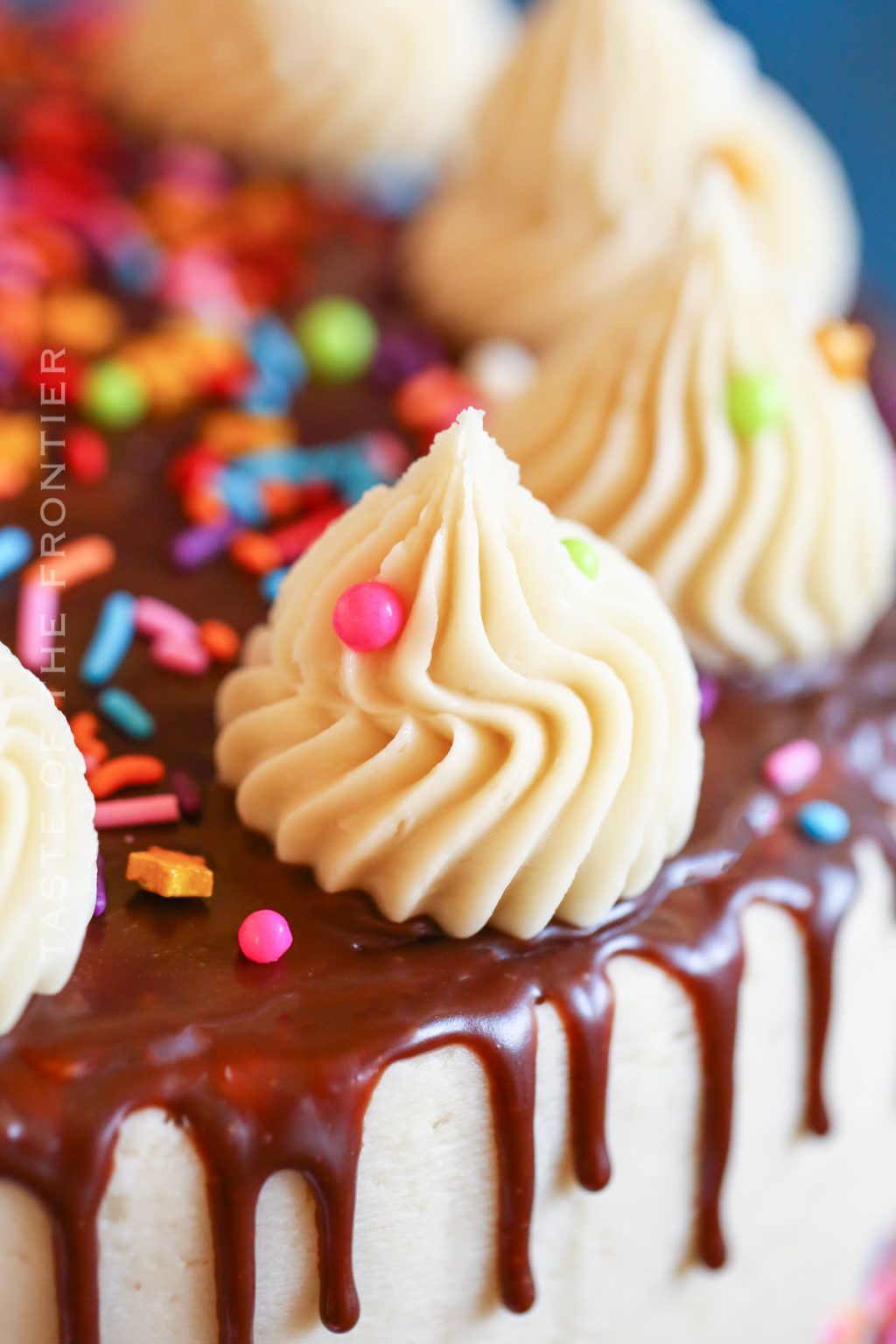Chocolate Ganache Drip Cake Taste of the Frontier