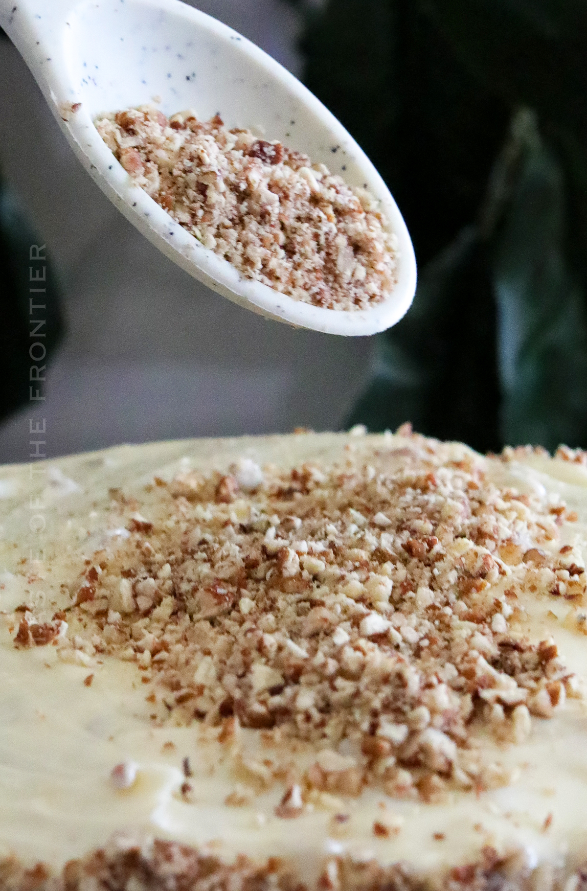 old fashioned Hummingbird Cake