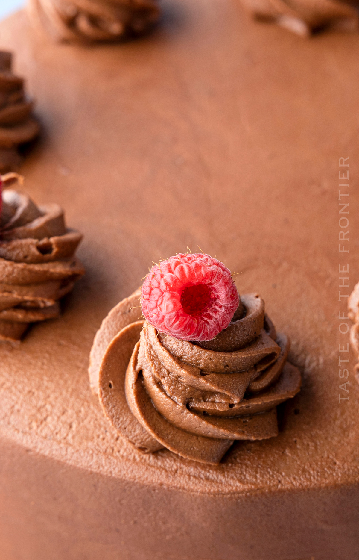 Chocolate Raspberry Birthday Cake