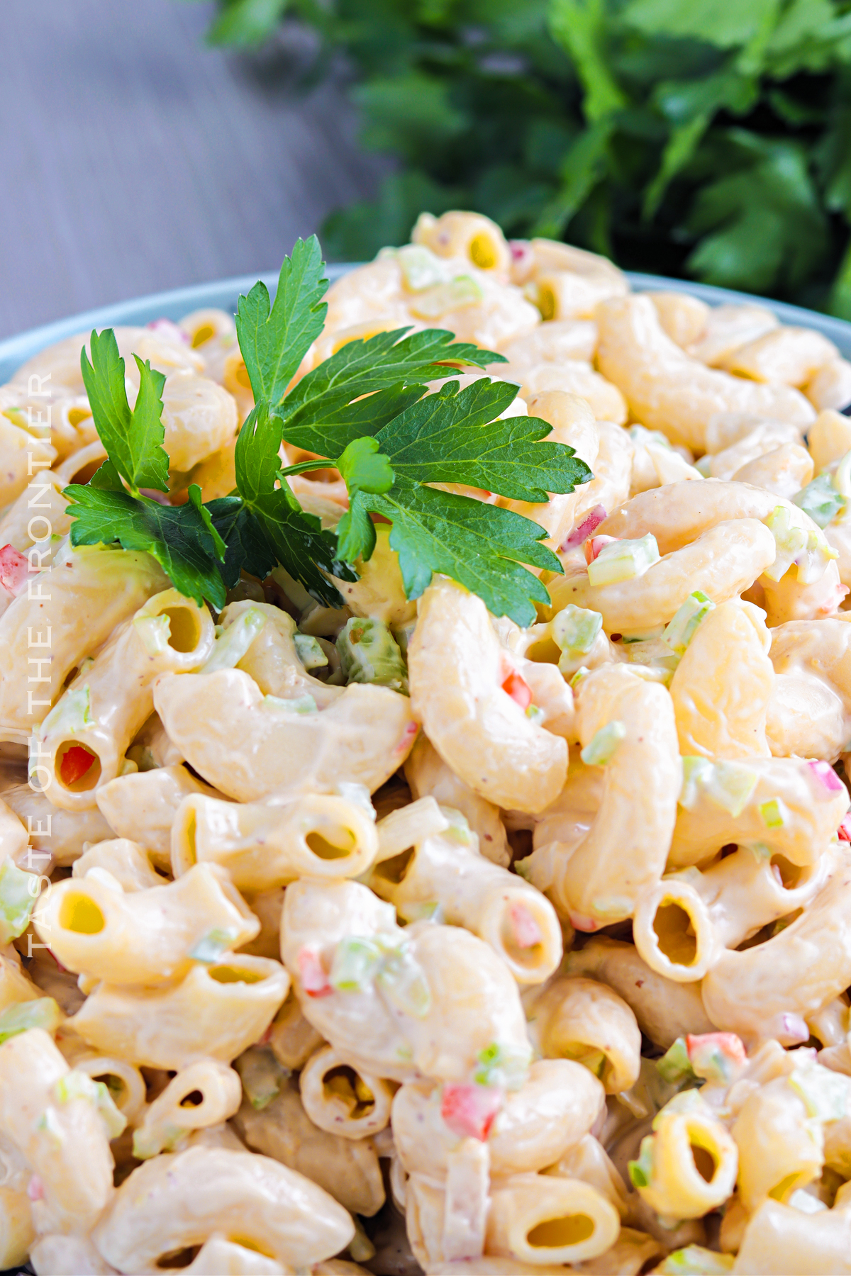 cold pasta salad