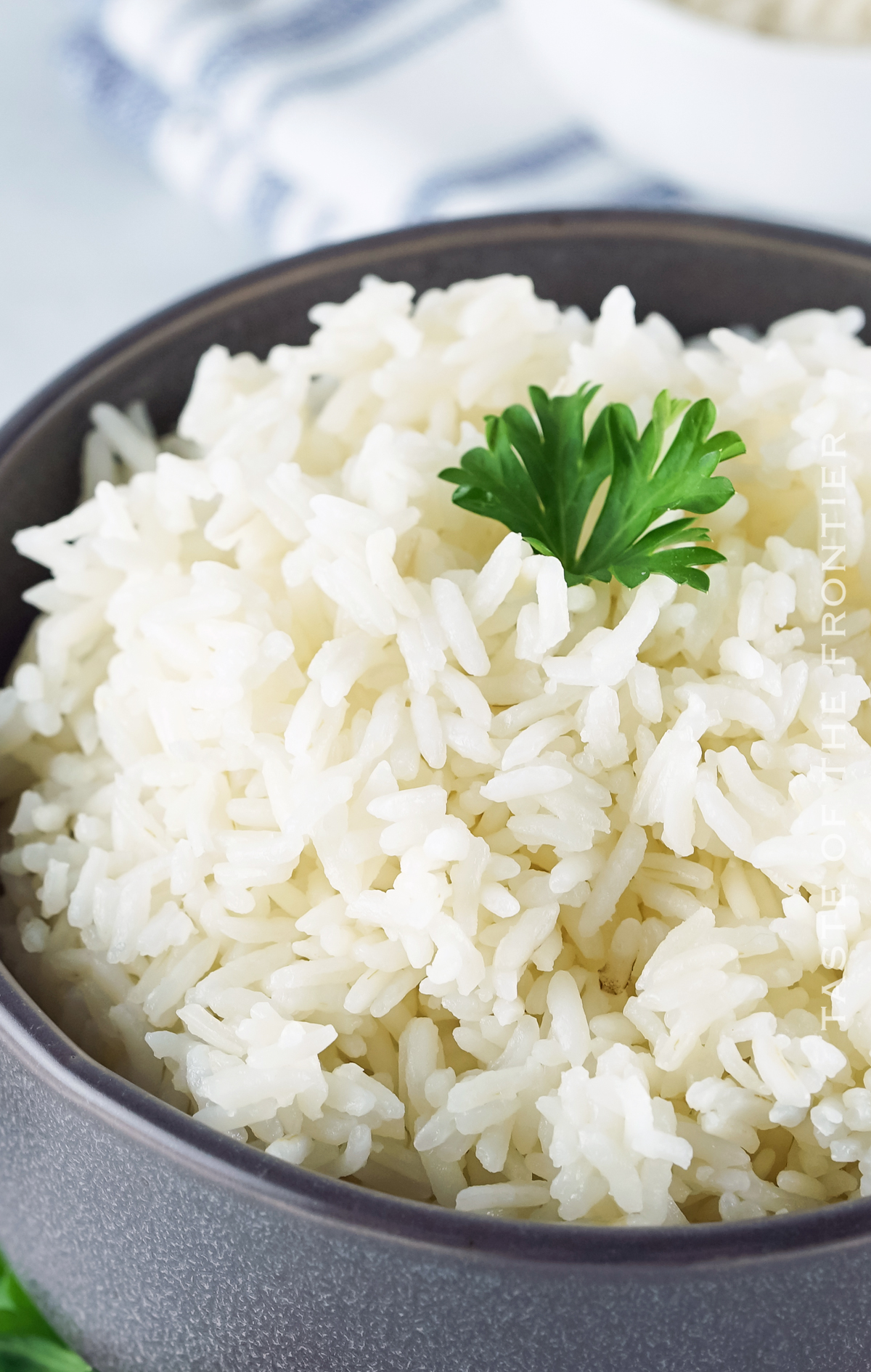 pressure cooker White Rice