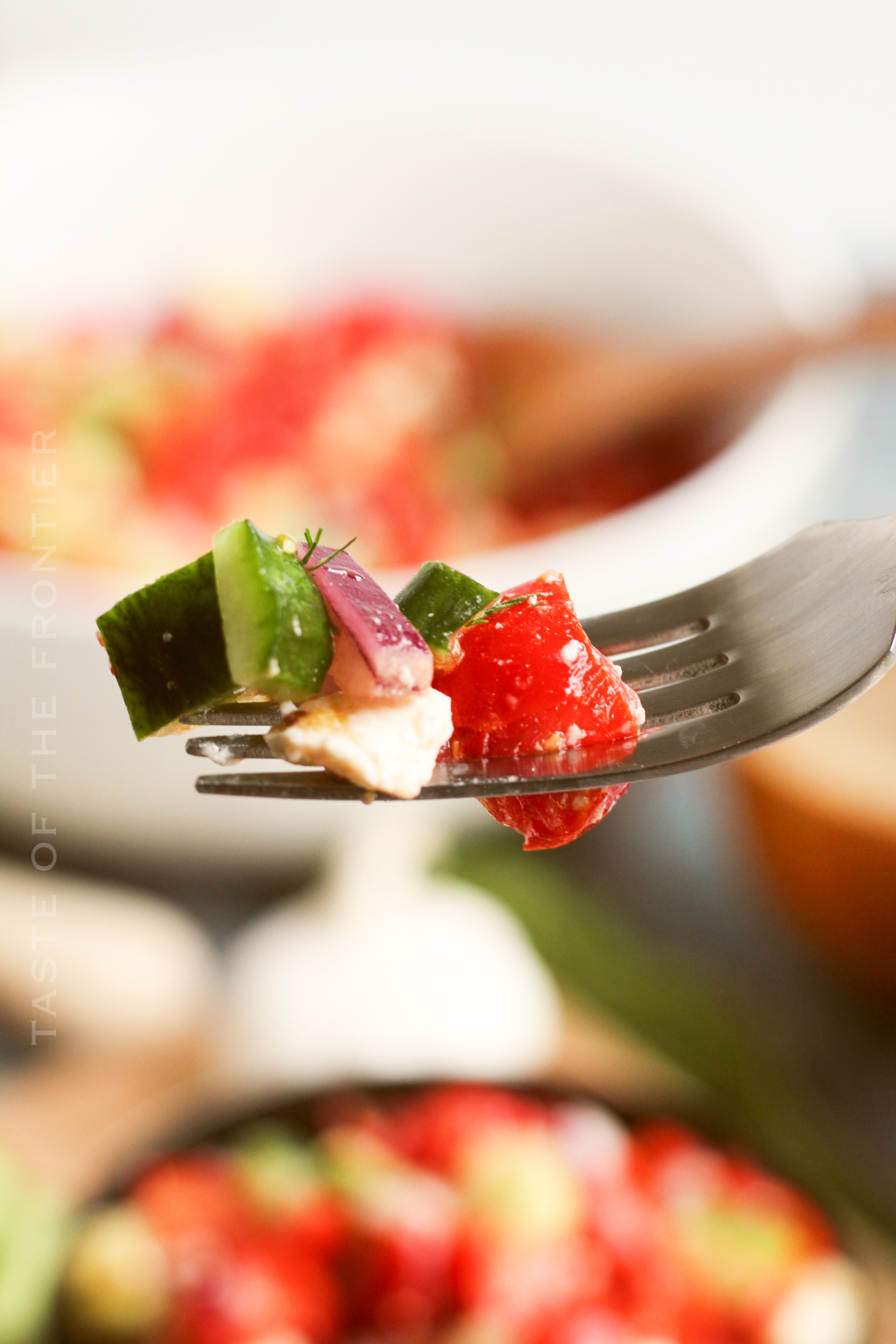 vegetable garden salad