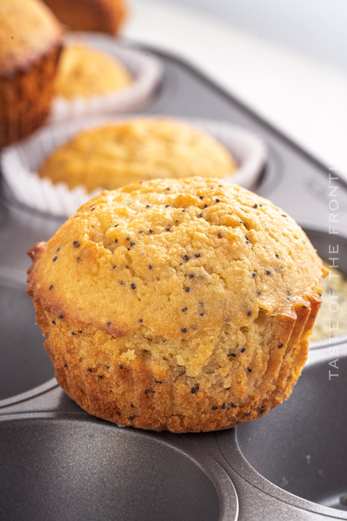 the best Lemon Poppy Seed Muffins