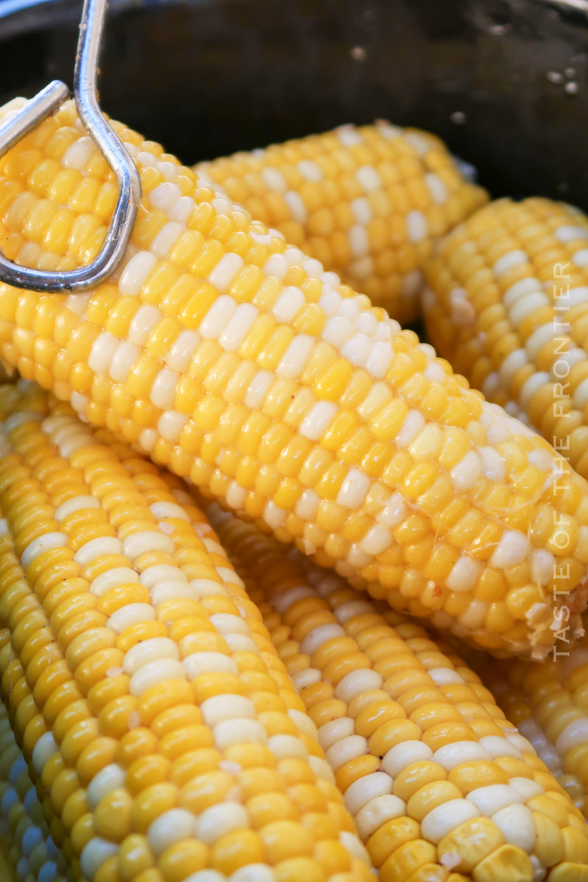 bbq side corn