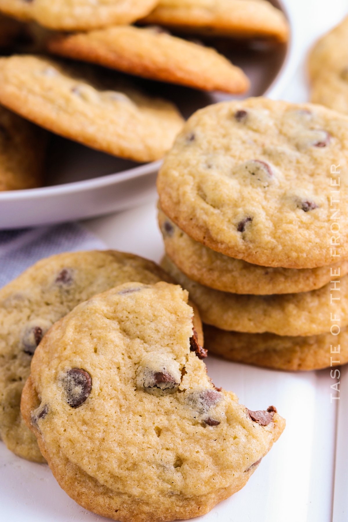 bite of chocolate chip cookie