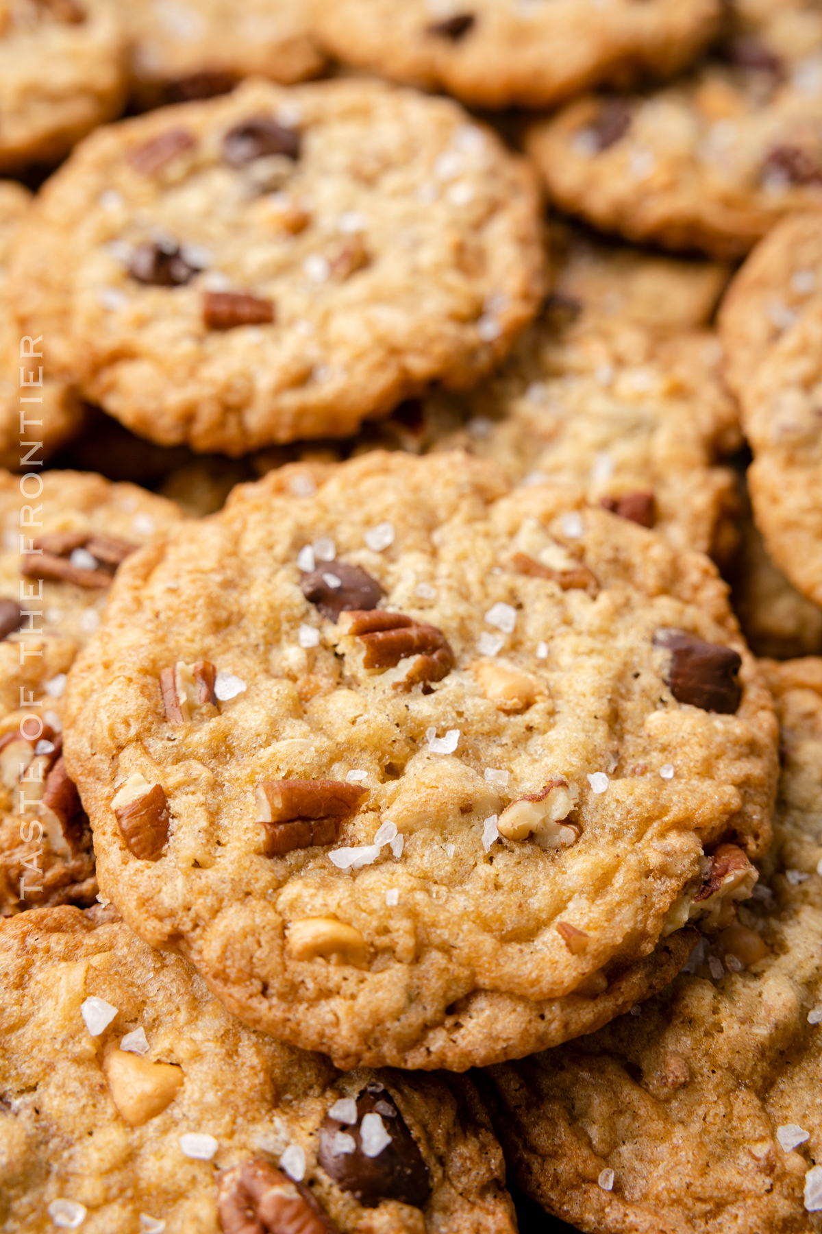 pecan chocolate chip cookies