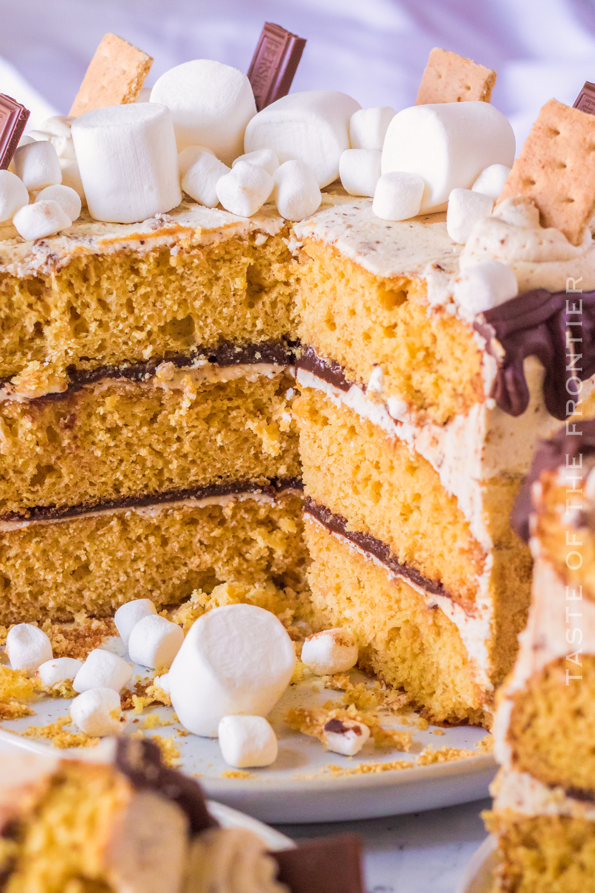 inside S'mores Cake