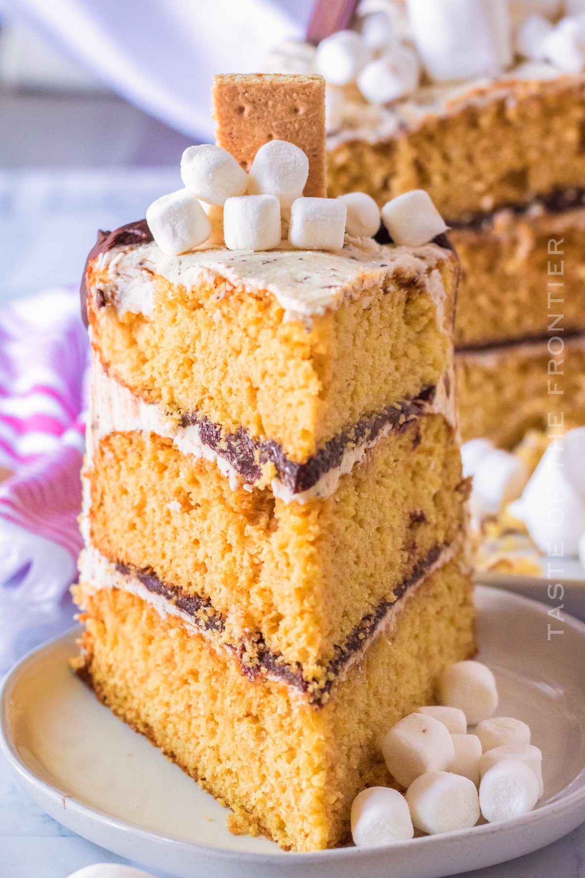 slice of S'mores Cake