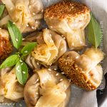 Vegetarian Dumplings