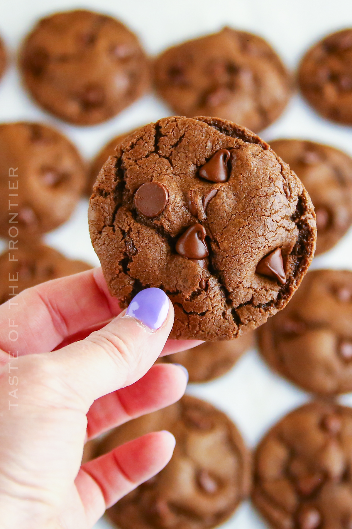NO CHILL Double Chocolate Chip Cookies