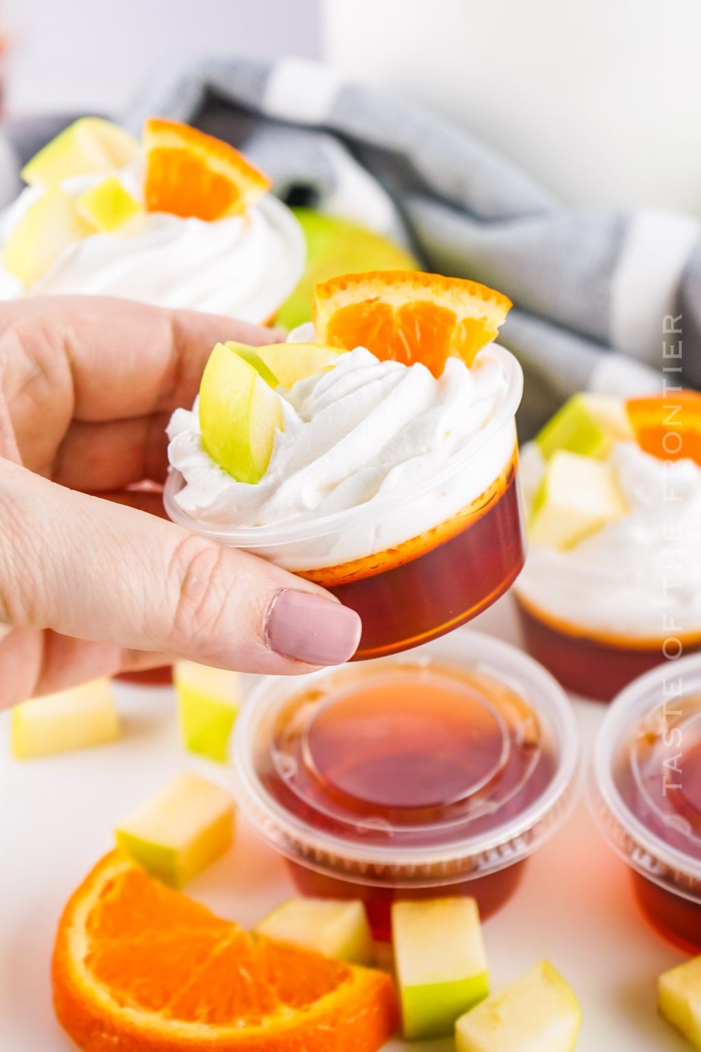 Sangria Jello Shots Taste of the Frontier