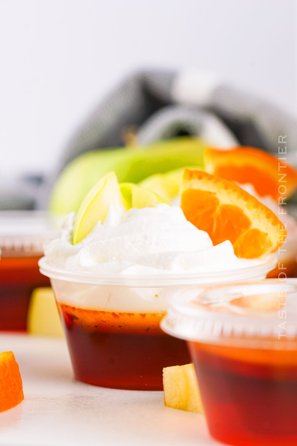 Sangria Jello Shots Taste of the Frontier