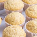 Basic Muffin Recipe