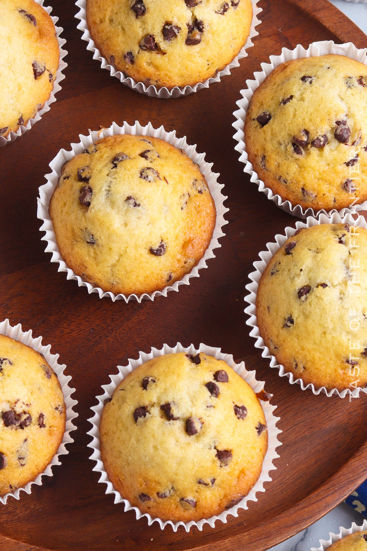 Chocolate Chip Muffins