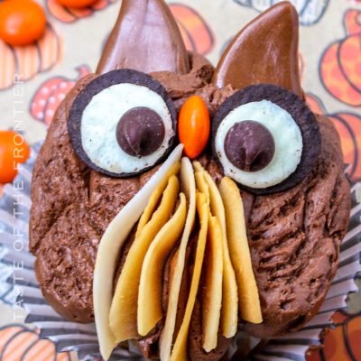 Owl Cupcakes