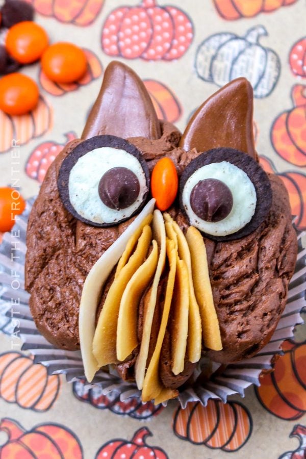 Owl Cupcakes