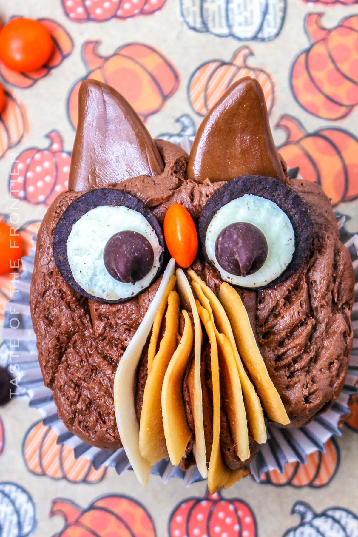 Fall Cupcakes with Owls