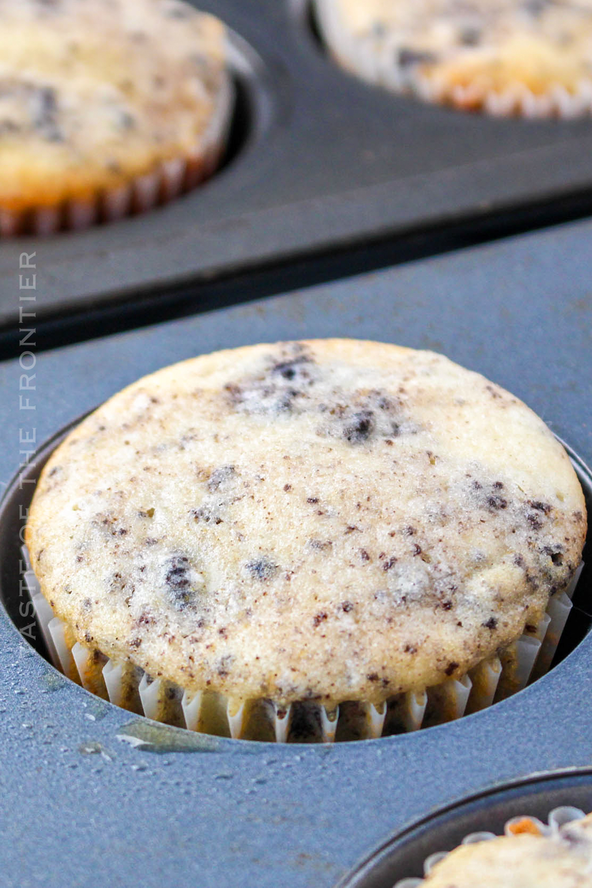 baked Oreo cupcakes